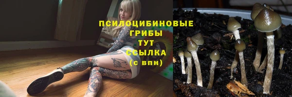 mdpv Белокуриха