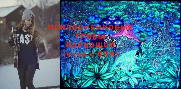 mdpv Белокуриха