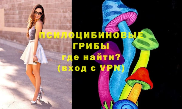 дживик Беломорск