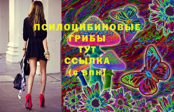 mdpv Белокуриха